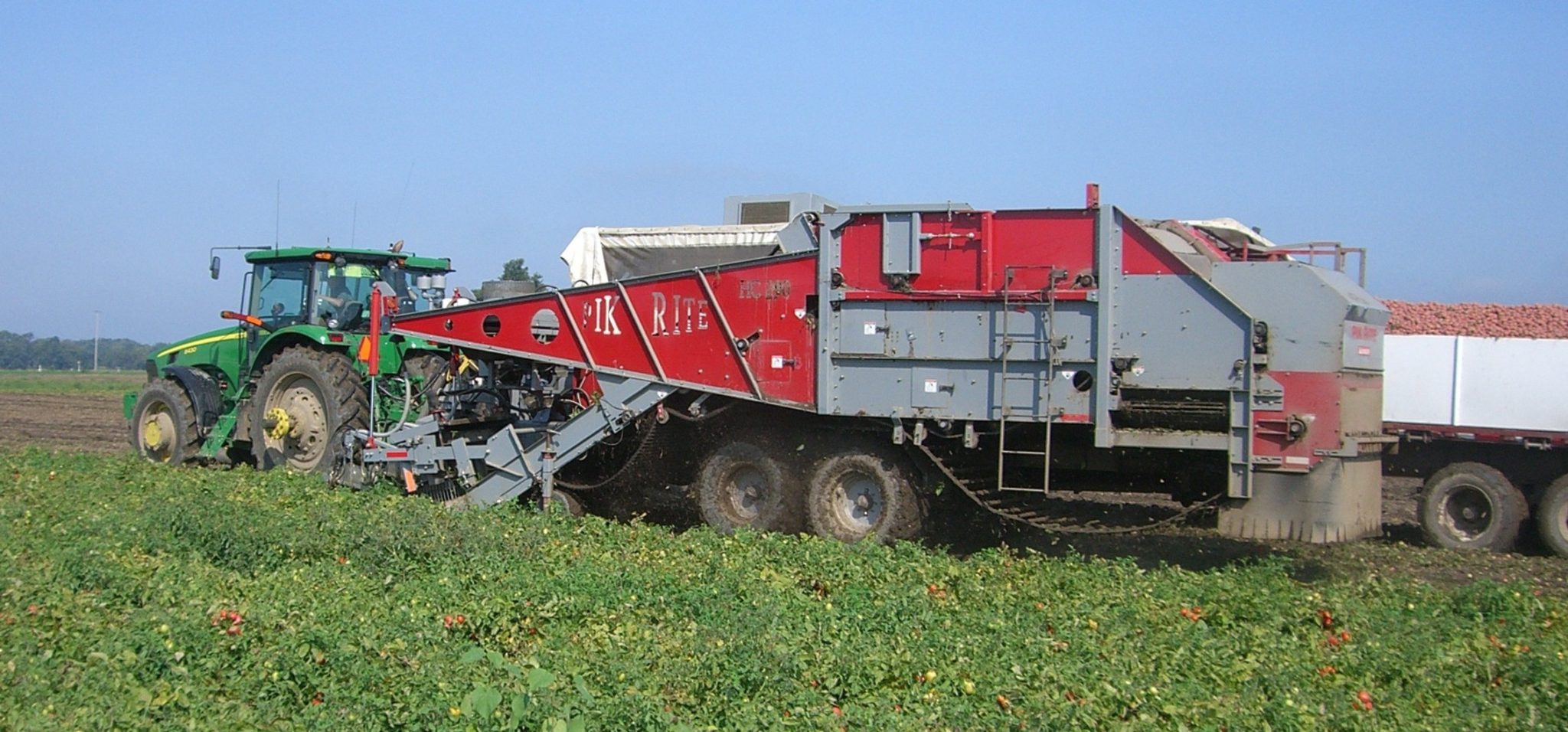 HC290 Tomato Harvester Pik Rite