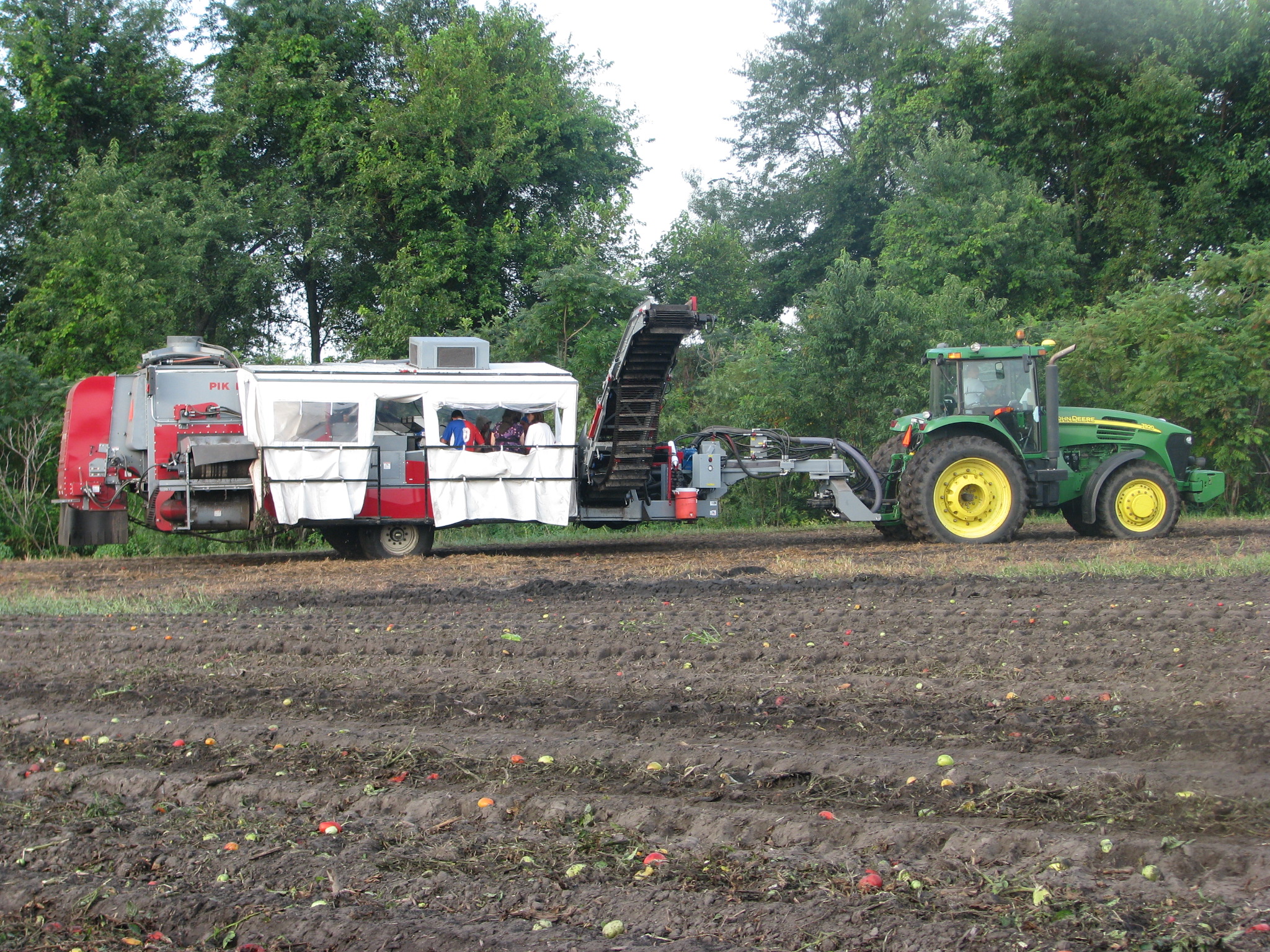 190 Tomato Harvester Pik Rite