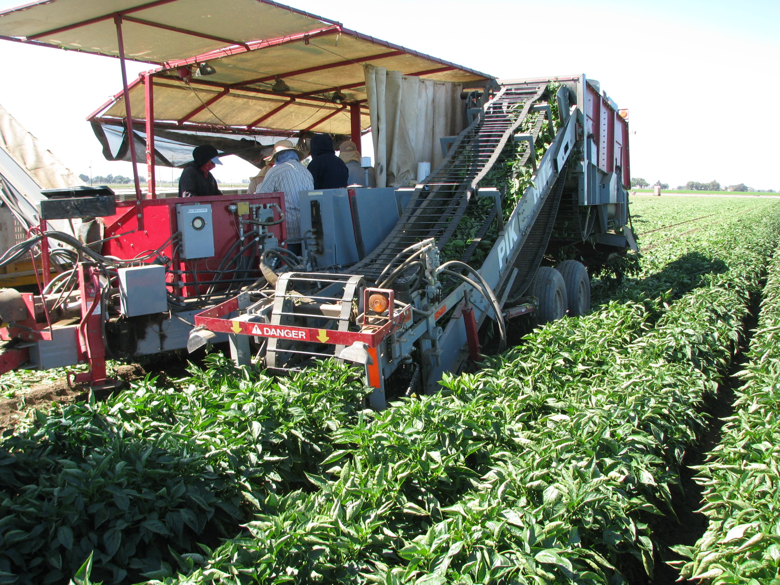 Pepper Harvester - Pik Rite