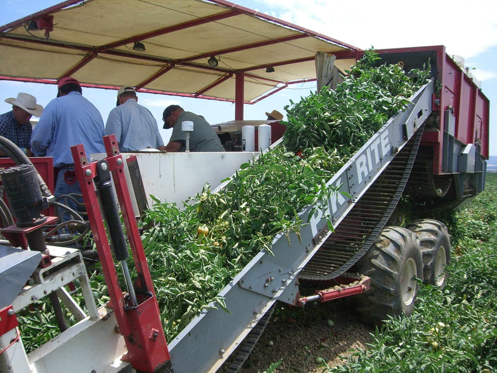 Pepper Harvester - Pik Rite